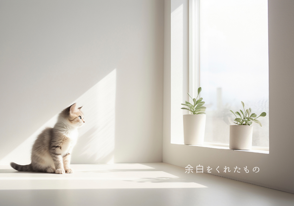 私の人生に余白をくれたもの